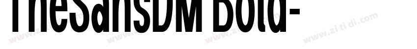 TheSansDM Bold字体转换